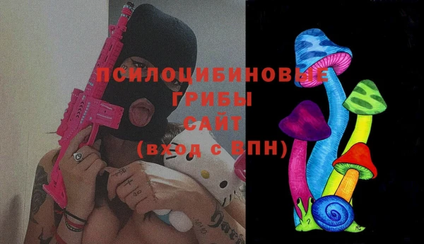 ГАЛЛЮЦИНОГЕННЫЕ ГРИБЫ Алексин