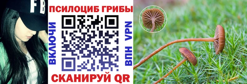 Псилоцибиновые грибы мицелий  Черемхово 